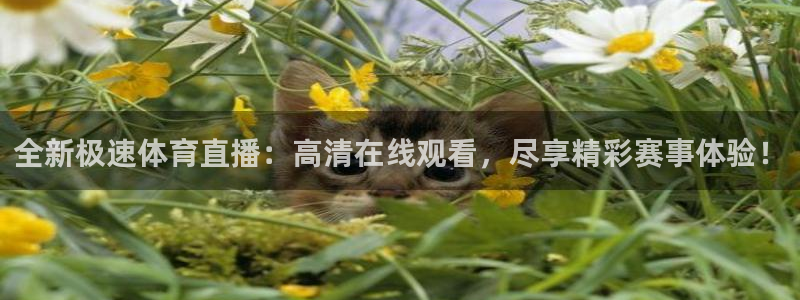说球帝nba直播在线观看免费回放：全新极速体育直播：高清在线观看，尽享精彩赛事体验！