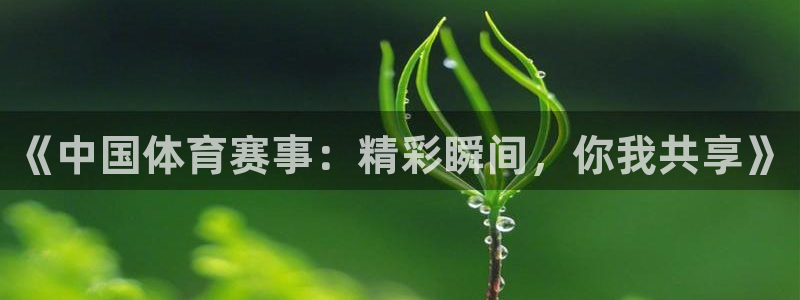 说球帝官网入口：《中国体育赛事：精彩瞬间，你我共享》