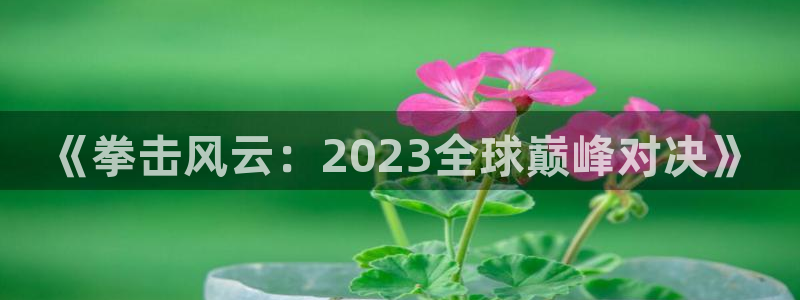 说球帝tv：《拳击风云：2023全球巅峰对决》