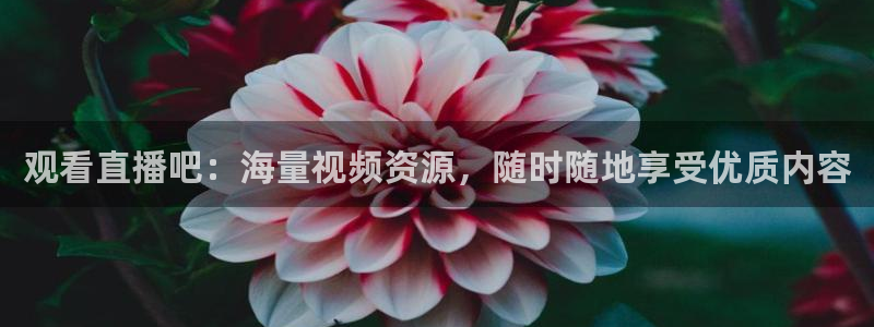 说球帝：观看直播吧：海量视频资源，随时随地享受优质内容