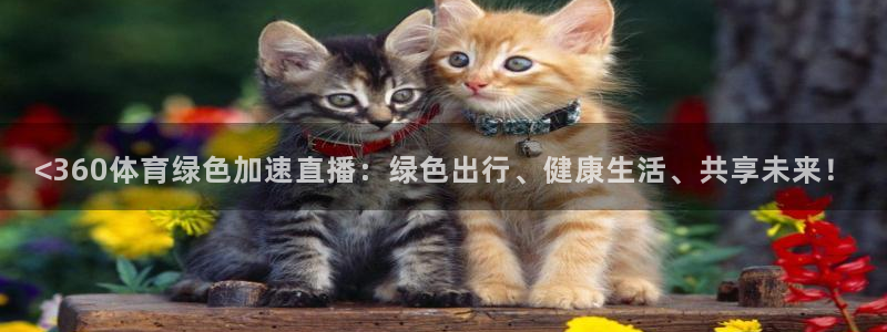 说球帝app官方免费下载：<360体育绿色加速直播：绿色出行、健康生活、共享未来！