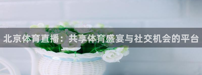 说球帝24小时直播在线观看：北京体育直播：共享体育盛宴与社交机会的平台