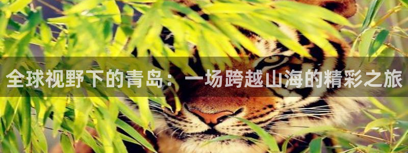 说球帝nba直播在线观看免费下载：全球视野下的青岛：一场跨越山海的精彩之旅
