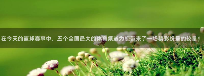 说球帝在线观看：在今天的篮球赛事中，五个全国最大的体育频道为您带来了一场精彩纷呈的较量！