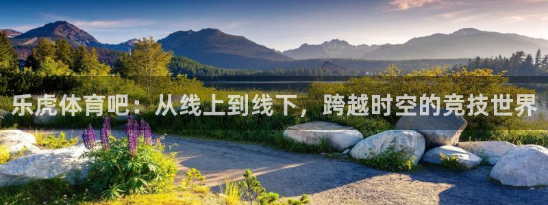 说球帝直播下载：乐虎体育吧：从线上到线下，跨越时空的竞技世界