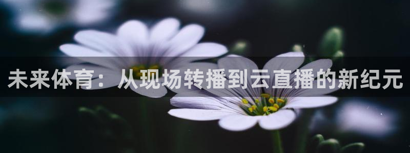 说球帝直播官方：未来体育：从现场转播到云直播的新纪元