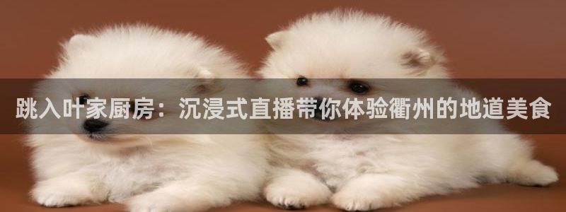 说球帝直播平台：跳入叶家厨房：沉浸式直播带你体验衢州的地道美食