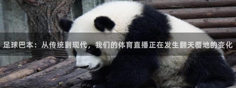 说球帝免费观看篮球直播：足球巴本：从传统到现代，我们的体育直播正在发生翻天覆地的变化