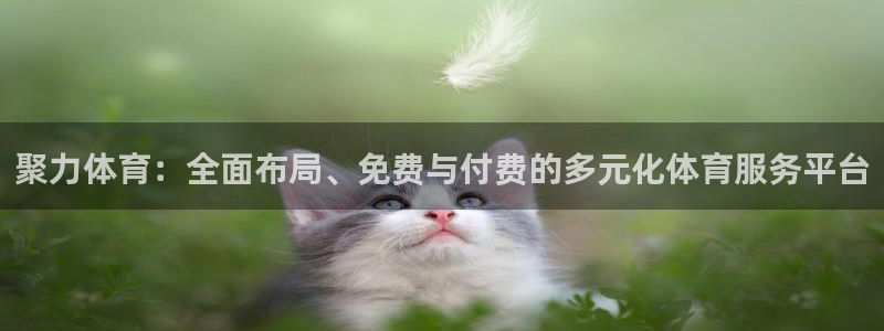 说球帝体育_足球_篮球直播：聚力体育：全面布局、免费与付费的多元化体育服务平台